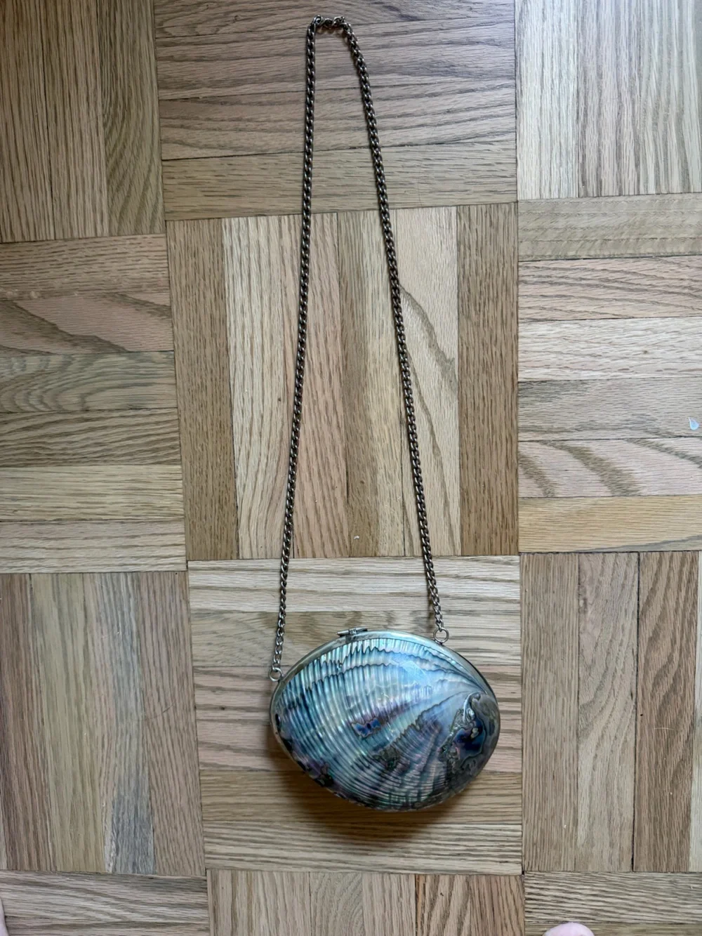 Vintage 1960s Abalone Shell Clutch Purse with iridescent shell pattern